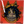 Load image into Gallery viewer, Mr. Gato Print on Acrylic by Eye Gato