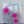 Load image into Gallery viewer, Clearly Gysek By Gysek One
