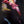 Load image into Gallery viewer, Individuate by Akira Beard
