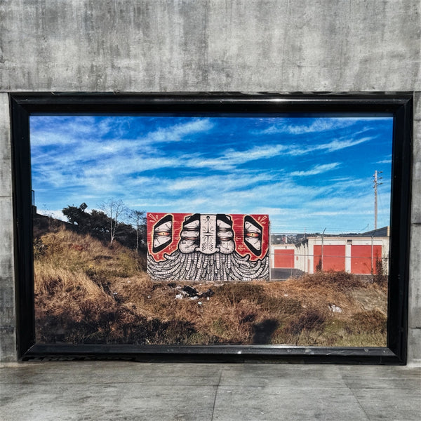 Gats In A Field - A Photograph By Benching Freights