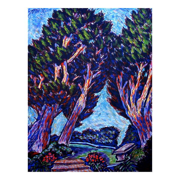 Trees with a Bench by Tom X