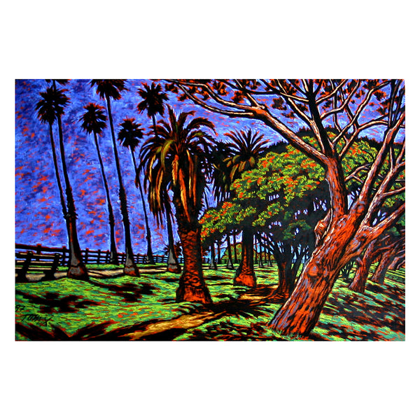 Trees in the Park by Tom X