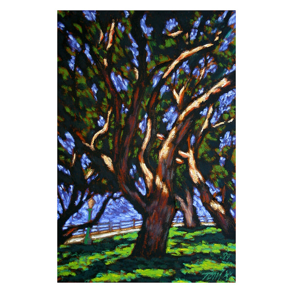 Tree by Tom X