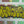 Load and play video in Gallery viewer, Black x Yellow Goner Ova Bricks - By Goner
